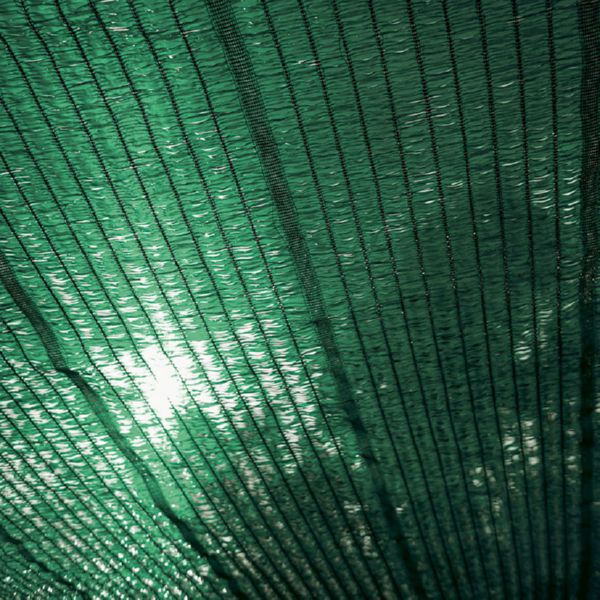 Malla sombreadora 2 x 100 m. Verde.